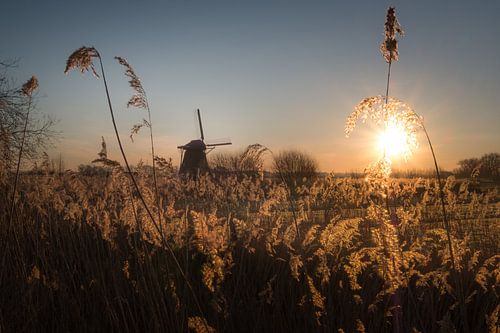 Molen bij zonsopkomst