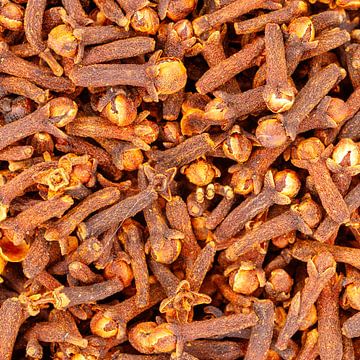 Clous de girofle entiers séchés pour la cuisson et l'assaisonnement des aliments sur de-nue-pic