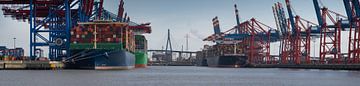 Panorama d'un terminal à conteneurs dans le port de Hambourg sur Jonas Weinitschke