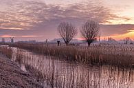 Landschaft in Noorddijk von Marga Vroom Miniaturansicht