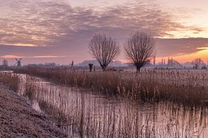 Landschaft in Noorddijk