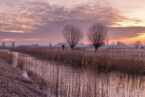 Landschap in Noorddijk