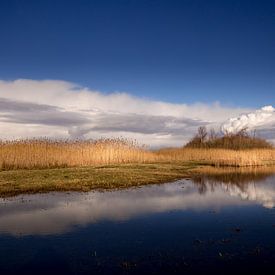 Wolkenpartij boven waterwingebied Ouddorp van Eddy 't Jong