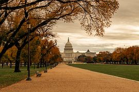Herbstgefühl in Washington D.C. von Manuel Jung