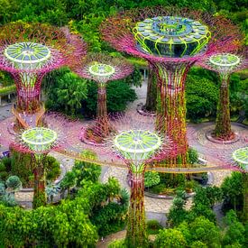 Onwerelds van Bram de Jong