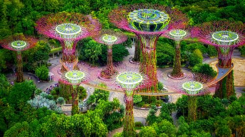 Onwerelds van Bram de Jong