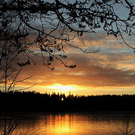 Sunset sur Jasmijn Peele