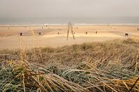 Boulevard von Schagen, Domburg von Sven Wildschut Miniaturansicht