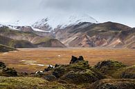 Icelandic highlands van Gunther Cleemput thumbnail