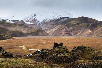 Les hauts plateaux islandais sur Gunther Cleemput