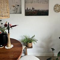 Photo de nos clients: FLEURS MURALES (Vu à VTwonen, encore amoureux de votre maison) par db Waterman, sur ArtFrame