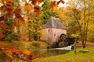 Herbst-Wassermühle von Ada Zyborowicz Miniaturansicht