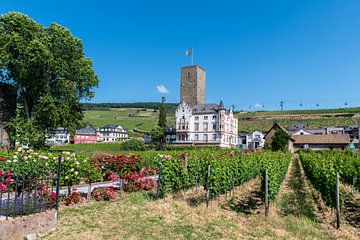 Wijnhuis en wijngaard bij Rüdesheim am Rhein van Wim Stolwerk