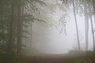 Der Nebelwald van Bernhard Kaiser thumbnail