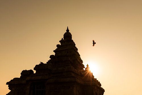TEMPLE SPIRIT sur Melchior | Lifestyle Art Photography