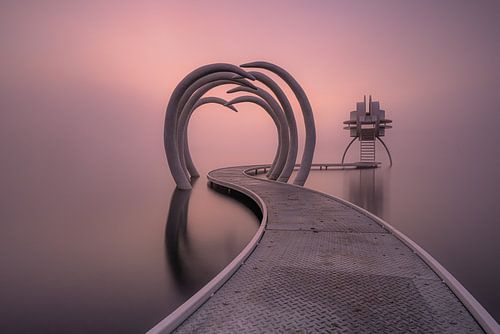Kunstwerk in mist