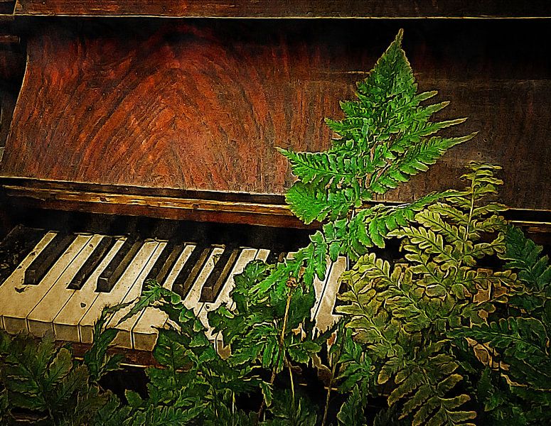 Fern Elise by Dorothy Berry-Lound
