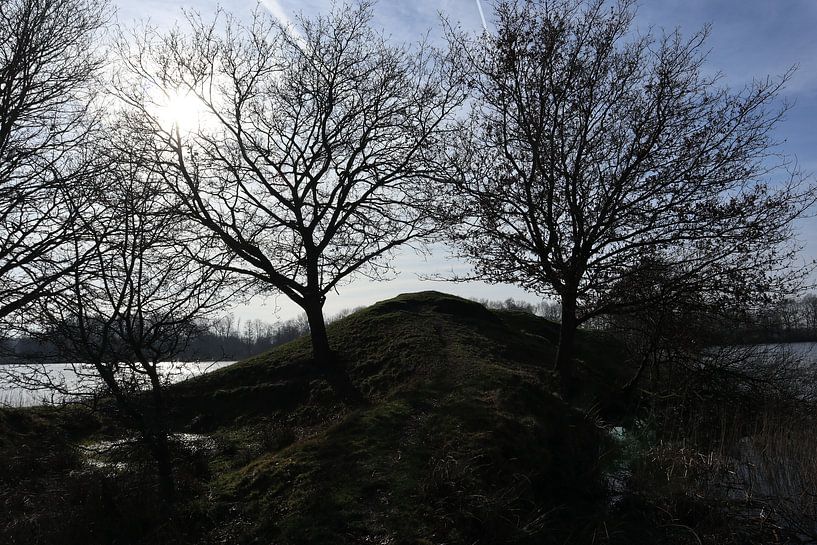 Wyldemerk von Jan Albada