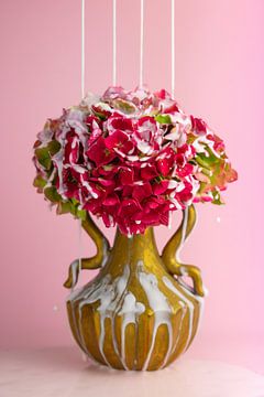 Roze Hortensia van Sjoukje Buitenhuis