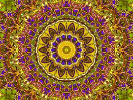 Retrospektive (Mandala in Ocker) von Caroline Lichthart