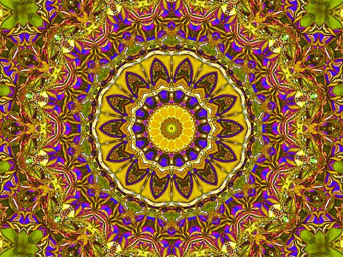 Retrospective (Mandala in Oker)