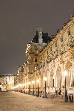 De lichten van het Louvre in de nacht van Parijs, Frankrijk