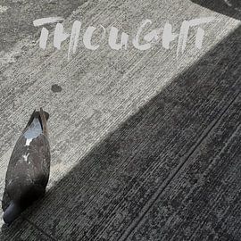 Food for thought by Jack Wilms