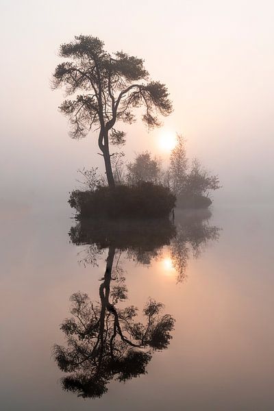 Island in the mist. by Els Oomis