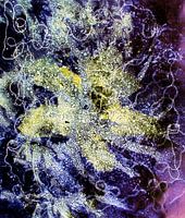 Monotype IV