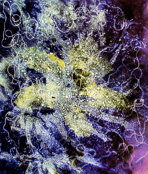Monotype IV van Ilse Schoneveld