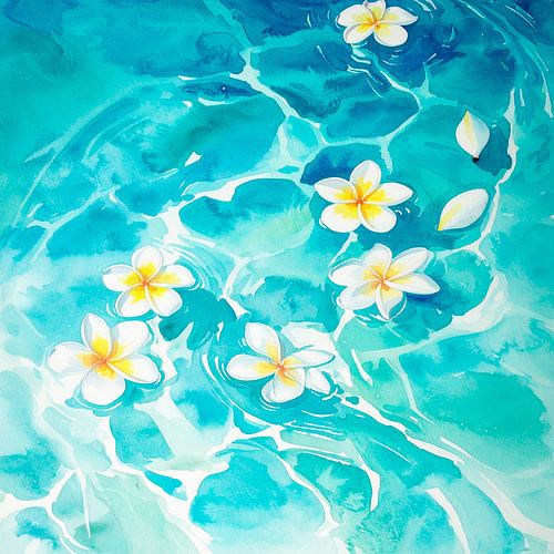 Drijvende Plumeria Water