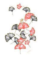 GINGO BILOBA LEAVES