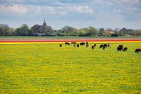 Lekker Hollands