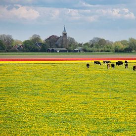 Lekker Hollands van Astrid Volten