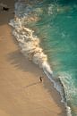 Angeln bei rauer See - Kelingking Beach von Ellis Peeters Miniaturansicht