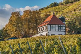 Castle Hofloessnitz, Radebeul by Gunter Kirsch