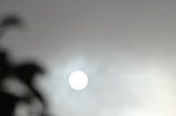 zon of maan met grijze gloed von milan willems Miniaturansicht