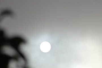 zon of maan met grijze gloed van milan willems