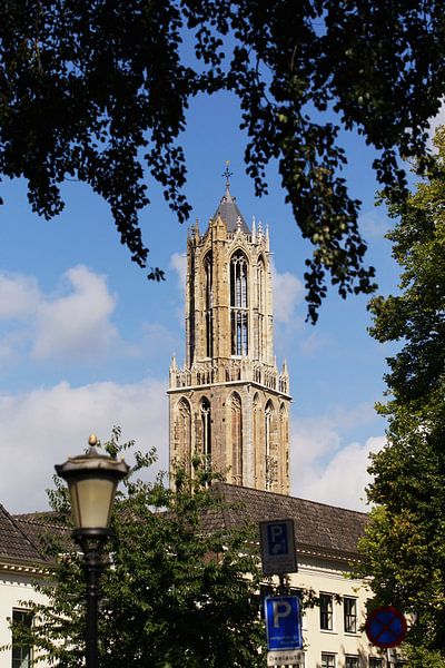Ein eingerahmter Domturm in Utrecht, von der Nieuwegracht aus gesehen, in Farbe von André Blom Fotografie Utrecht