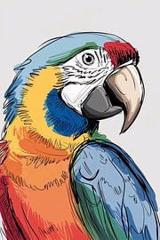 Dessin numérique coloré d'un perroquet sur Art & Soul Creations
