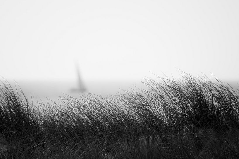 Silhouette einer Segelyacht von Rik Verslype