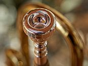 Trumpet by Rob Boon thumbnail