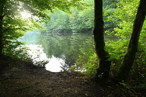 le matin au lac