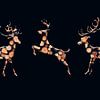 Deer Trio by Catherine Fortin