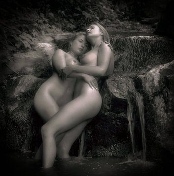 Nackte Damen im Wasser von Johan Van Der Horn