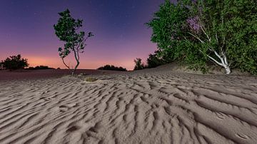 The night - Loonse and Drunense Dunes by Laura Vink
