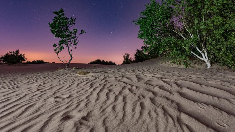 La nuit - Dunes de Loonse et Drunense par Laura Vink