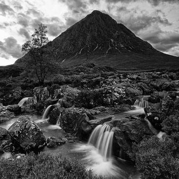 Buachaille Etive Mor van Miranda Bos