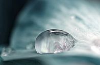  cool drop by Jessica Berendsen thumbnail