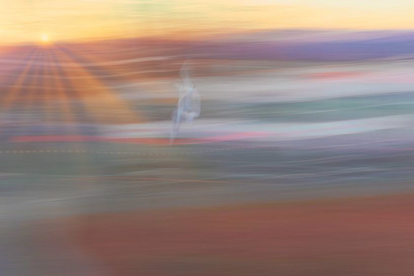 Nur ein Moment von Dagmar Marina